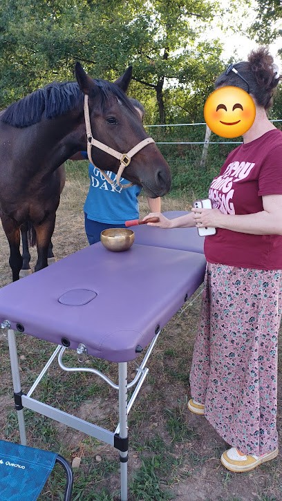 sophrologue mille et un son, Praticien de Médecine Alternative à Clonas-sur-Varèze