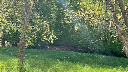 Marine SVAB - Experte en Accompagnement et praticienne en Hypnose, Hypnothérapeute à Dalem