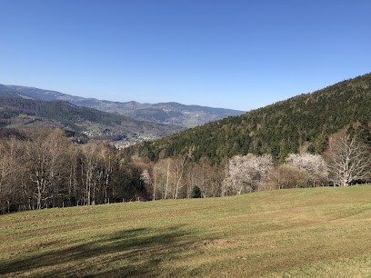 Eliane ARNOLD - Sophrologue Et Praticienne En Hypnose. Munster Et Sa Vallée, Hypnothérapeute à Munster