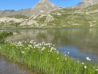 Juliette Bosvieux Naturopathie - Réflexologie Faciale - Réflexologie Plantaire, Praticien de Médecine Alternative à Dunkerque