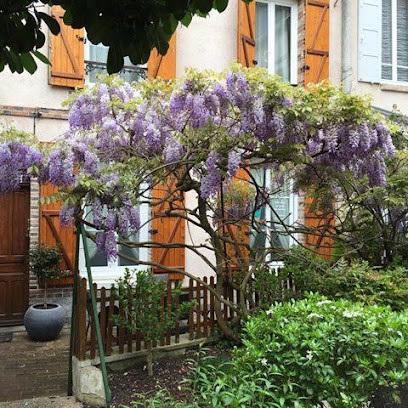 Marie-Laure LECLERC Naturopathe-Coach, Praticien de Médecine Alternative à Sens