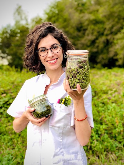 Dr COL Mélissa - Naturopathe - Fertilité et troubles gynécologiques, Consultations & Programmes en ligne, Praticien de Médecine Alternative à Miribel-les-Échelles