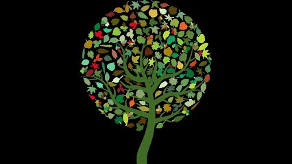 Cabinet de Naturopathie, Praticien de Médecine Alternative à Sainte-Foy-la-Grande