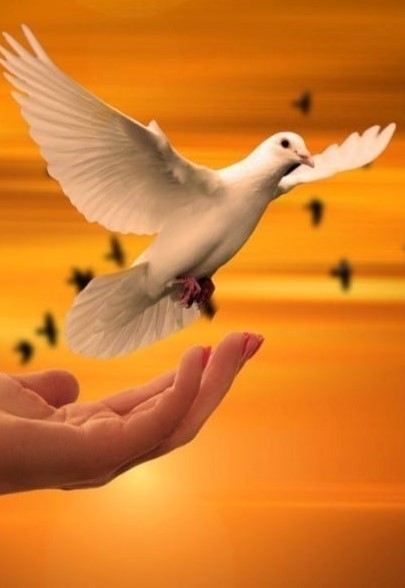 Hypnose Sophrologie EFT Ploërmel Vanessa Niel, Hypnothérapeute à Ploërmel