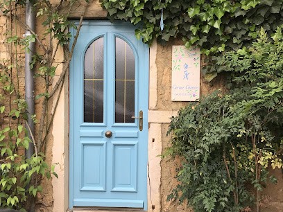 Chanois Carine, Praticien de Médecine Alternative à Fareins