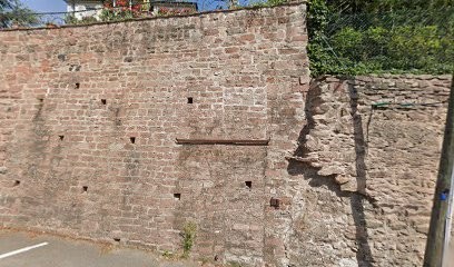 Le Chemin Vers La Source, Praticien de Médecine Alternative à Ribeauvillé