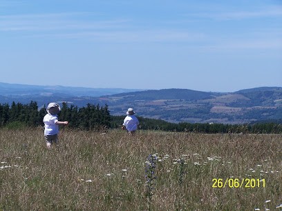 Valérie Matoug-Gaucher, Praticien de Médecine Alternative à Antrenas