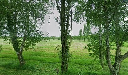 Claudie Rose Myriam, Praticien de Médecine Alternative à Conquereuil