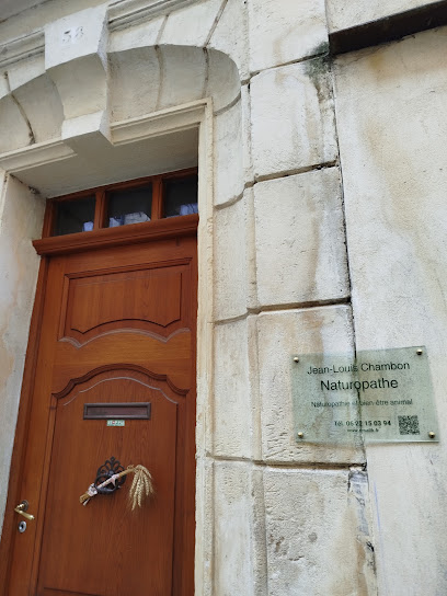 Jean-Louis Chambon, Praticien De Médecine Alternative à Arles