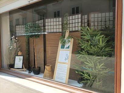 Cabinet d'Energétique Traditionnelle Chinoise en Maurienne - Confort et Bien-Être - Claire Avenas, Praticien de Médecine Alternative à Saint-Michel-de-Maurienne