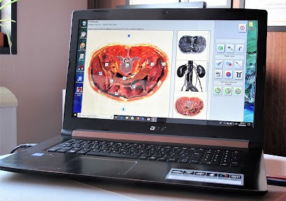 Naturopathie GINKGOBIOVITALITE/ Drtehetena.com, Praticien de Médecine Alternative à Ferney-Voltaire