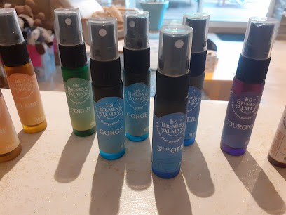 Melanie INACIO Les Brumes d'Alma, Praticien de Médecine Alternative à Reyssouze