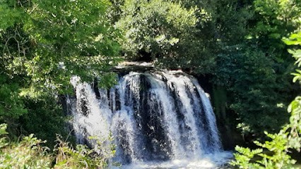 Christine Ferrand - Naturopathe, Praticien de Médecine Alternative à Espinasse-Vozelle