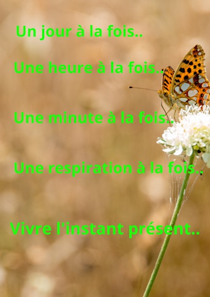 Nathalie Roche Naturopathe, Praticien de Médecine Alternative à Plaisance-du-Touch