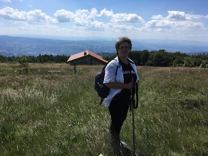 Hélène LEYLAVERGNE, Praticien de Médecine Alternative à Saint-Symphorien-de-Lay