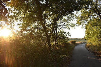 Des Ressources Et Des Ailes, Praticien de Médecine Alternative à Sémalens