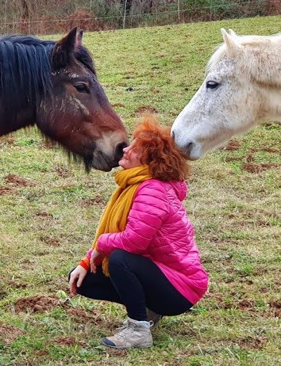 Carole Barreau, Praticien de Médecine Alternative à Simacourbe