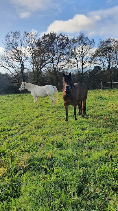 Audrey Leroux Sophrologue Médium, Praticien de Médecine Alternative à Chauvé