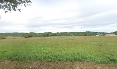 Anne-Marie Commères, Praticien de Médecine Alternative à Marseillan
