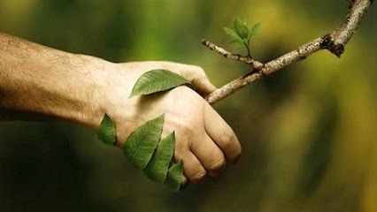 Youssef Claude, Hypnothérapeute à Brasles