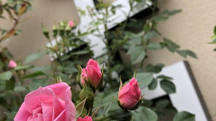 La Voie de l'Enfant, Praticien de Médecine Alternative à Camaret-sur-Aigues