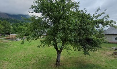 Caroline Debue, Praticien de Médecine Alternative aux Déserts