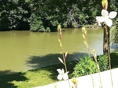 STÉPHANIE CHATEAU, Hypnothérapeute à Sandillon