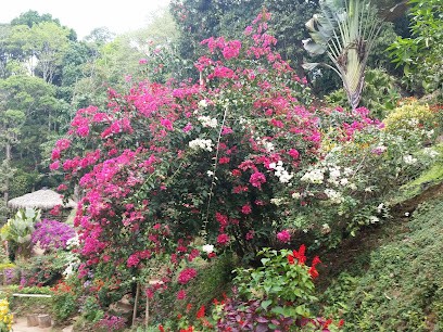 Naturopathe 74 - Réflexologue Haute-Savoie - Isabelle Jeanton, Praticien de Médecine Alternative à Viuz-en-Sallaz