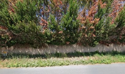 Eve Ducharme Hypnose, Hypnothérapeute à Saumane-de-Vaucluse