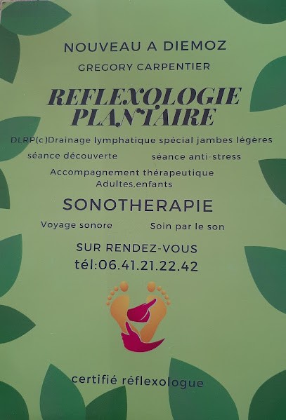 Grégory Carpentier REFLEXOLOGIE SONOTHERAPIE, Réflexologue à Diémoz
