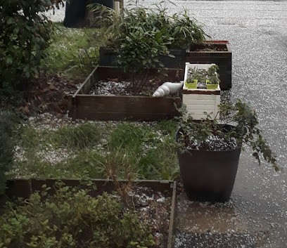 Alexandra Tabatchnik - SensTsenS, Praticien de Médecine Alternative à Saint-André-des-Eaux