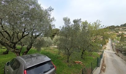 L'Insolite Conscience, Hypnothérapeute à Ollioules