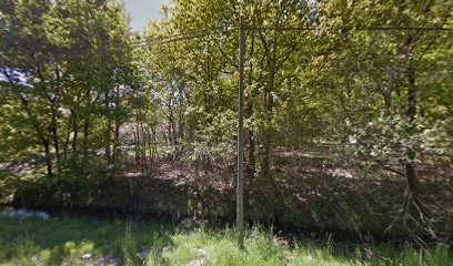 L'aura - Naturopathe, Praticien de Médecine Alternative à Belhade