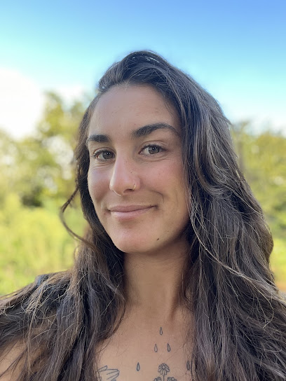 Simples - Accompagnement Holistique - Anna Pasteris Praticien De Médecine Alternative à Plomeur
