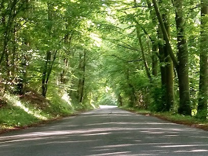 Detente&Reflexologie, Réflexologue à Verderel-lès-Sauqueuse
