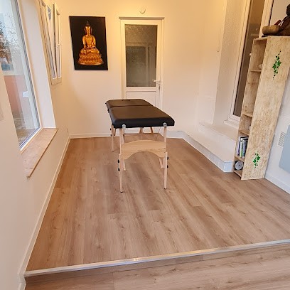 MERIC THERAPIE, Praticien de Médecine Alternative à Champigny-sur-Marne