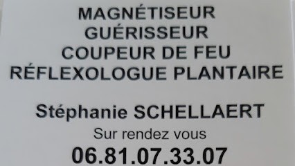Stéphanie Schellaert, Praticien de Médecine Alternative à Cambrai
