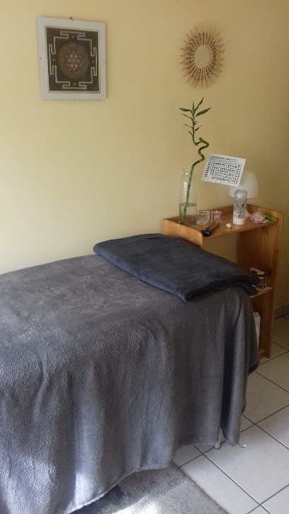 Marie-Pierre Charpentier Energéticienne Holistique, Praticien de Médecine Alternative à Meyzieu