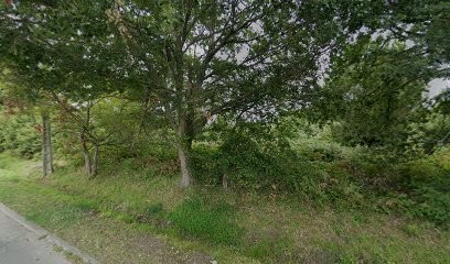 Marine Liarçou - Thérapeute Psycho-énergéticienne | Médecine Chinoise - Andernos, Praticien de Médecine Alternative à Lanton