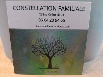 Constellation familiale Céline Cremillieux, Praticien de Médecine Alternative au Chalon