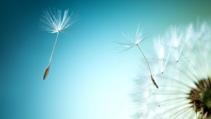 Sandra Bissuel - Thérapeute, Praticien de Médecine Alternative à Aiguilhe