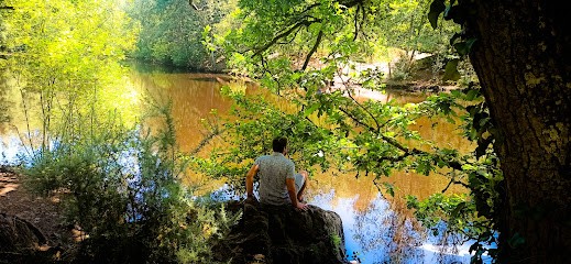 Brocéliande sous Hypnose - Sébastien CHEVRIER-MAHAUDEAU - Hypnose et Relaxation - Gaël, Hypnothérapeute à Gaël
