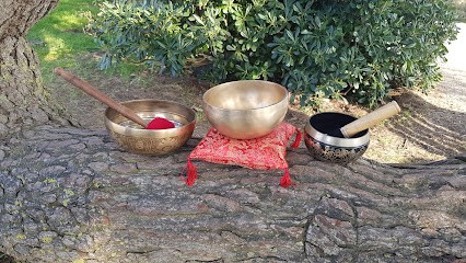 RMSE Le Retour à Soi Yvon Legros, Praticien de Médecine Alternative à Marsilly