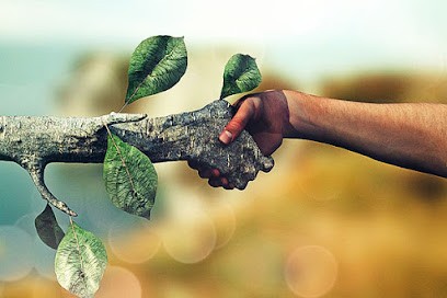 Rajaa Thouvenin, Praticien de Médecine Alternative au Plessis-Robinson