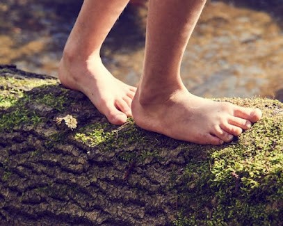 Ansoréflexo, Réflexologue à Évran