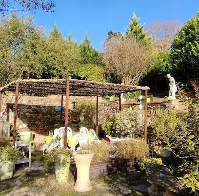 JBouin lithothérapie - Soin énergétique puissant par les Pierres - Taille de Pierre de soin - Nettoyage de lieux, Praticien de Médecine Alternative à Canals