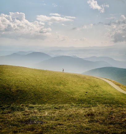 Estelle Deshayes, Naturopathe, Sophrologue, Spa, Praticien de Médecine Alternative à Saint-Arcons-d'Allier