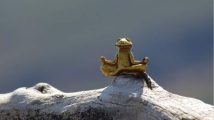 Réflexologue à domicile Karine Riveron, Réflexologue à Blain