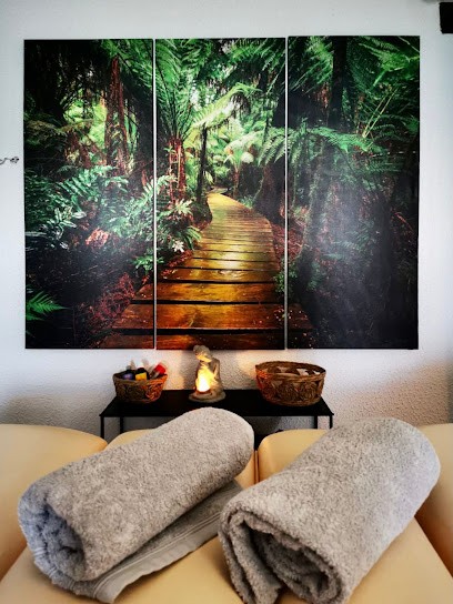 Naturo'nat, Praticien de Médecine Alternative à Dampierre-sur-Salon