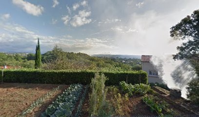 Maho-no, Praticien de Médecine Alternative à Saint-Étienne-de-Fontbellon